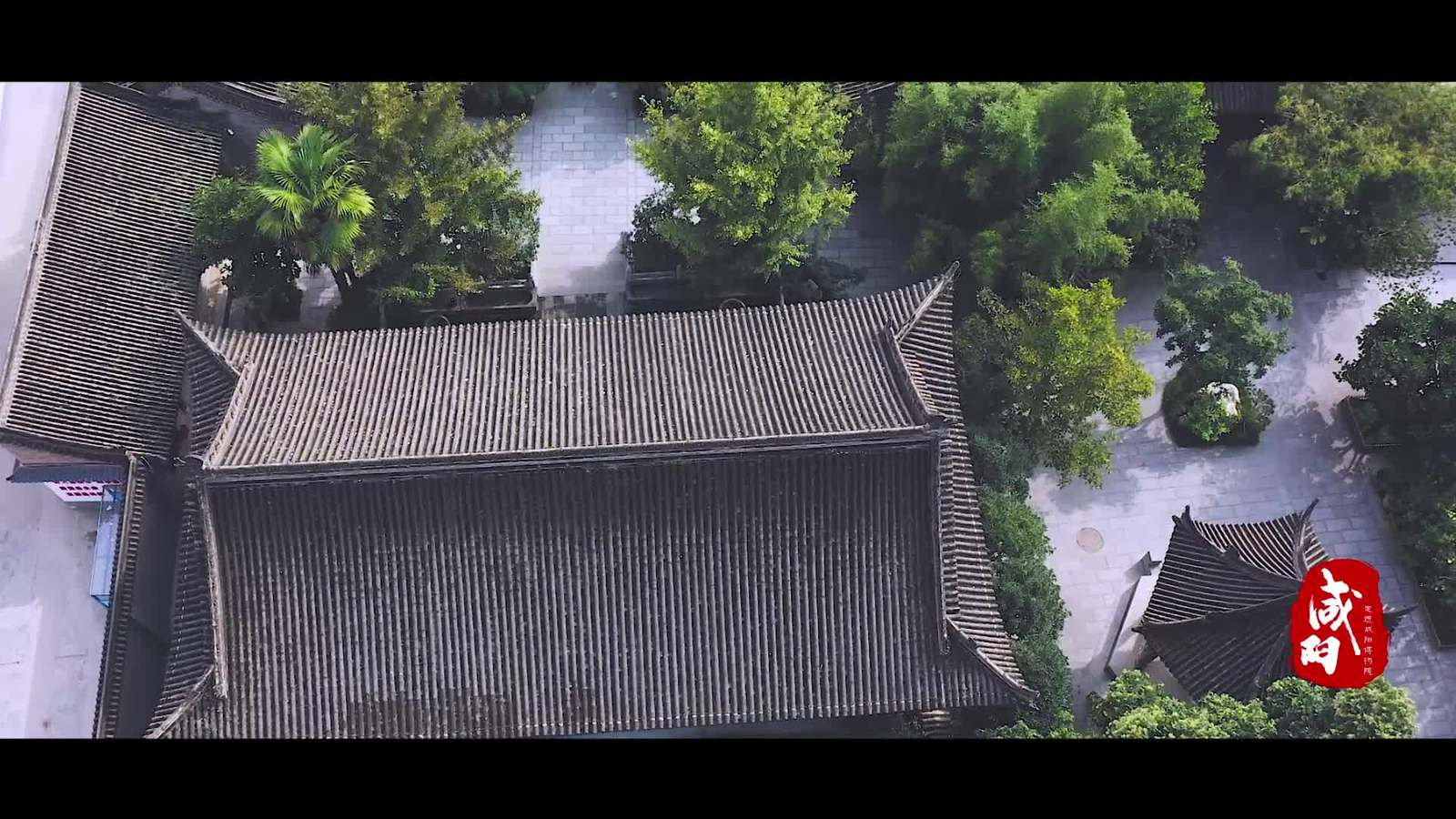 【西部國(guó)際商貿(mào)城·微視頻大賽作品304】航拍咸陽(yáng)博物院