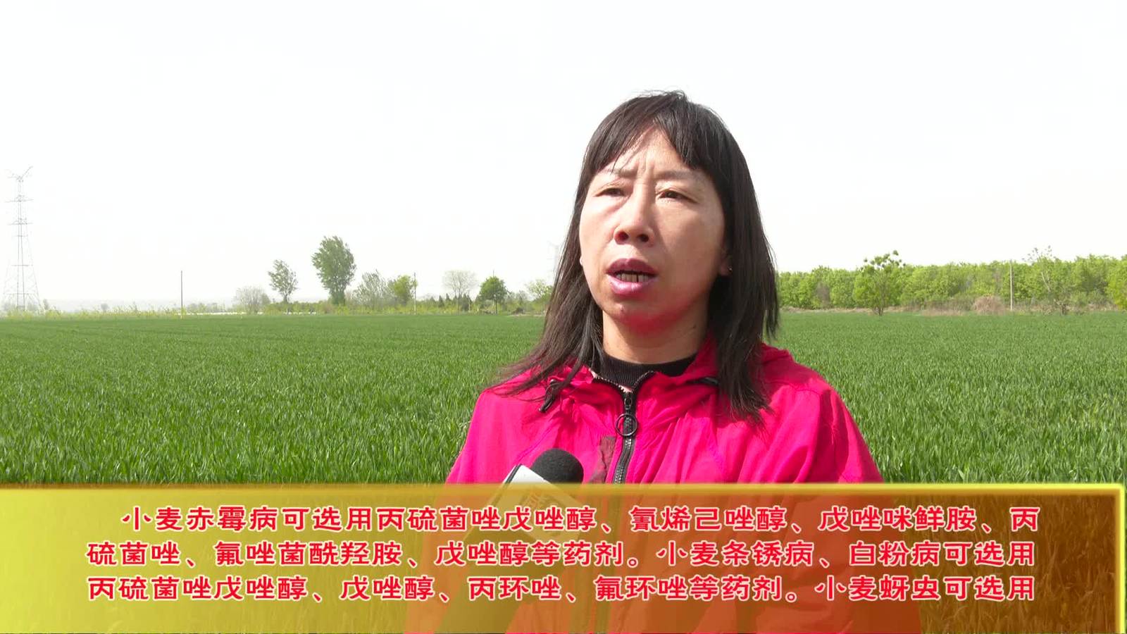 农事科技20250419